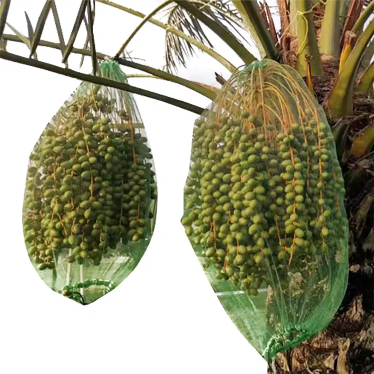 Fruit Date Palm Protection Mesh Bag